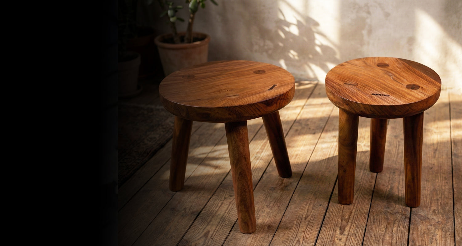 Two wooden stools on a wooden floor with a plant in the background.